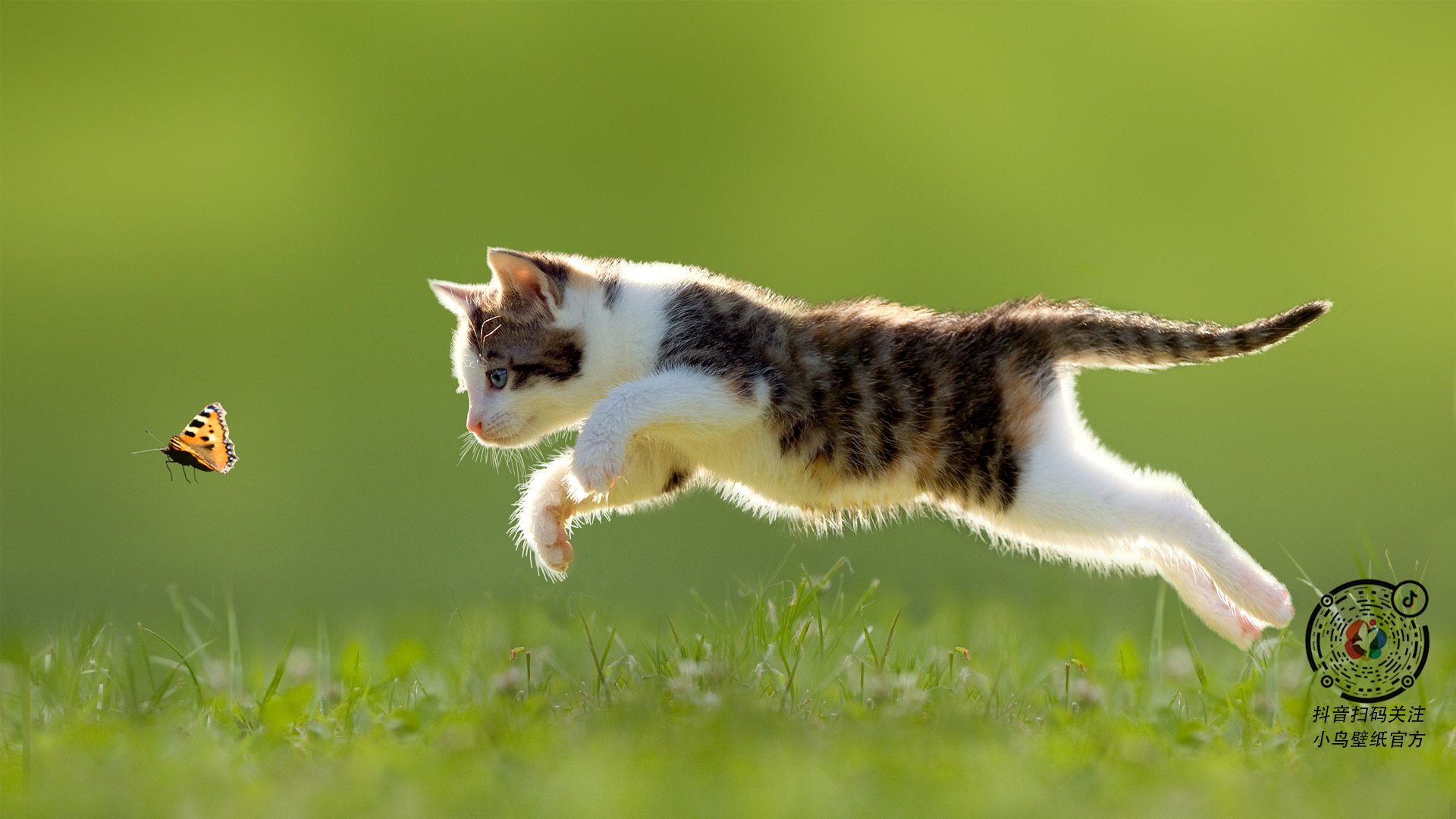 阿圭罗的稳定艺术，当效率足球遇上牙买加的战术压制