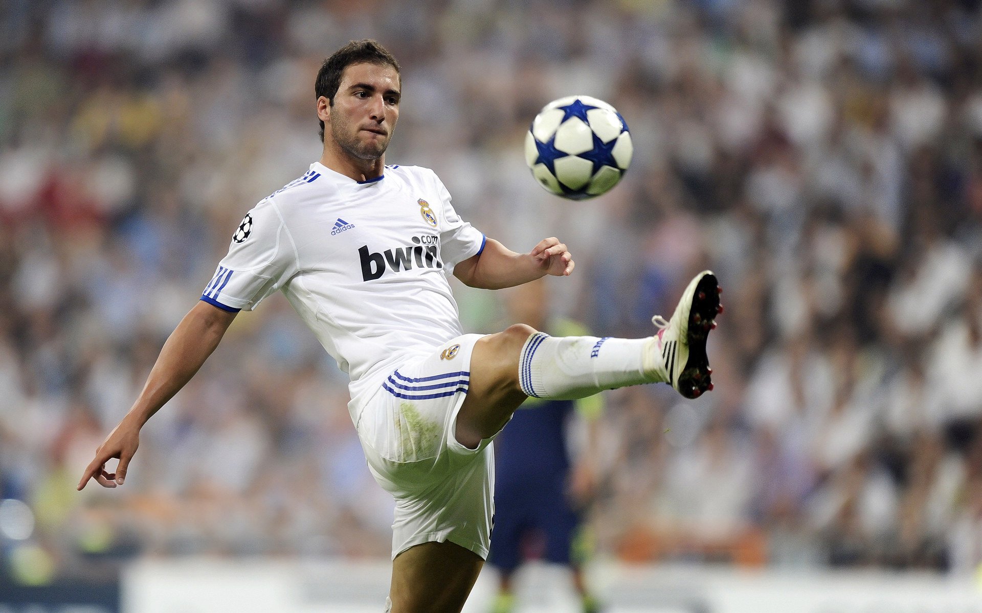 IM体育下载-东契奇的美加墨之夜，当篮球成为救赎的圣殿